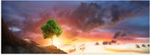 Poster Glanzend – Fel Groen Gekleurde Boom met Prachtige Zonsondergang op een Berglandschap - 60x20 cm Foto op Posterpapier met Glanzende Afwerking