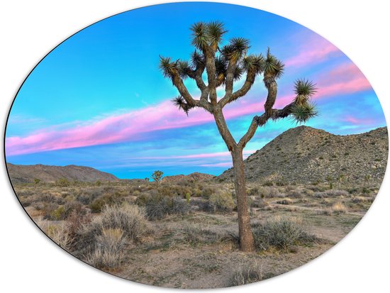 Dibond Ovaal - Landschap met Prachtig Roze en Blauw Gekleurde Lucht - 80x60 cm Foto op Ovaal (Met Ophangsysteem)