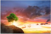 Poster Glanzend – Fel Groen Gekleurde Boom met Prachtige Zonsondergang op een Berglandschap - 75x50 cm Foto op Posterpapier met Glanzende Afwerking