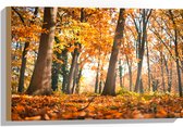 Hout - Bos in de Herfst vanaf Kikkerperspectief - 60x40 cm - 9 mm dik - Foto op Hout (Met Ophangsysteem)