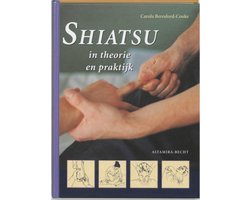 Shiatsu In Theorie En Praktijk
