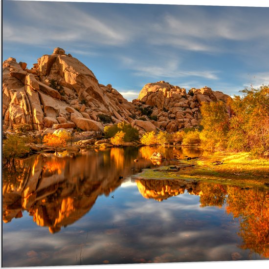 Dibond - Rotsen aan het Water bij Joshua Tree National Park - 80x80 cm Foto op Aluminium (Met Ophangsysteem)