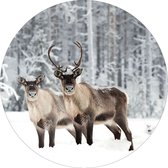 Kerstdecoraties - Glasschilderij Ø50cm Moose ''winter''