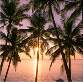 Poster Glanzend – Tropische Palmbomen voor Oceaan en Zonsondergang - 100x100 cm Foto op Posterpapier met Glanzende Afwerking