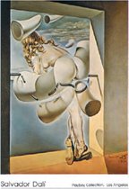 Salvador Dalì - Playboy Collection, Los Angeles - Kunstposter - 60x80 cm