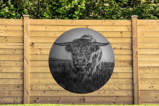 Affiche de jardin autour des Highlanders écossais (2) - Highlander écossais en gros plan en noir et blanc Affiche de jardin - Affiche de jardin ronde 150x150 cm - Toile de jardin / Toile d'extérieur / Peintures pour l'extérieur (décoration de jardin)