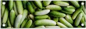 Tuinposter – Hoopje Groene Komkommers - 60x20 cm Foto op Tuinposter (wanddecoratie voor buiten en binnen)