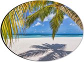 Dibond Ovaal - Hangende Palmbladeren met Schaduw op Tropisch Wit Strand - 28x21 cm Foto op Ovaal (Met Ophangsysteem)