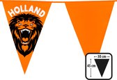 Boland - PE reuzenvlaggenlijn brullende leeuw 'Holland' - Voetbal - Voetbal