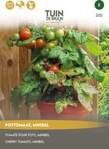 Tuin de Bruijn® zaden - Tomaat - Pottomaat Minibel - Zeer hoge opbrengst - Eenvoudige teelt