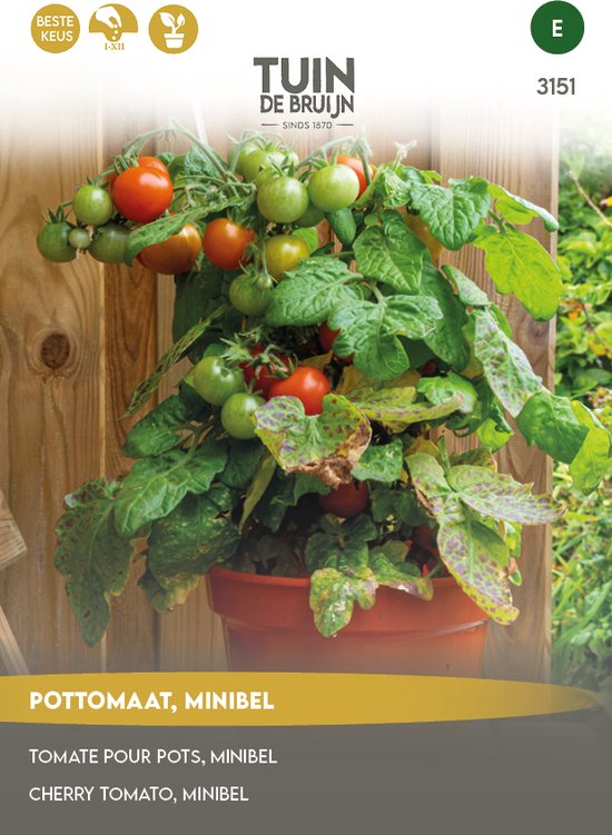 Tuin de Bruijn® zaden - Tomaat - Pottomaat Minibel