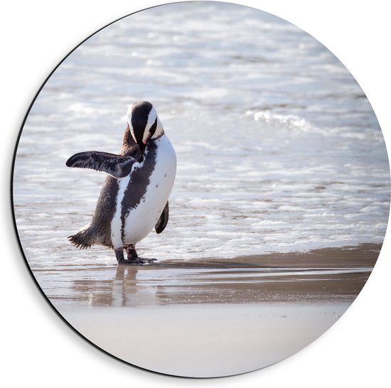 Dibond Muurcirkel - Pinguïn met open Vleugel bij het Strand - 40x40 cm Foto op Aluminium Muurcirkel (met ophangsysteem)