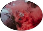 Dibond Ovaal - Roze Roos Verdwijnend in Rode Rook - 28x21 cm Foto op Ovaal (Met Ophangsysteem)