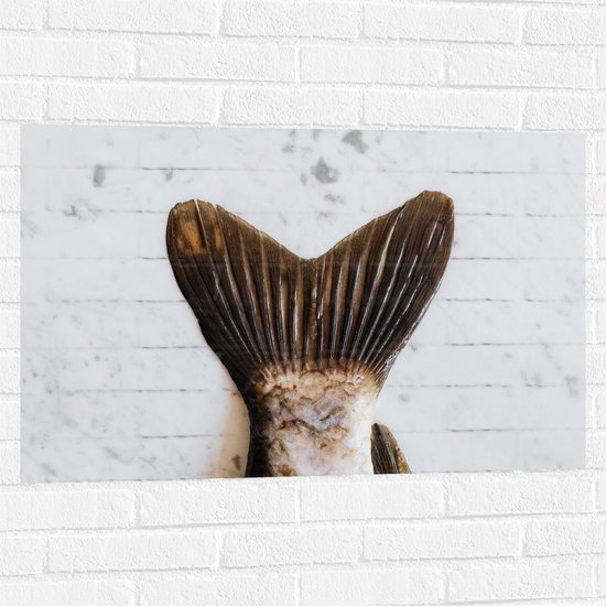 Muursticker - Vissenstaart van Dichtbij - 90x60 cm Foto op Muursticker