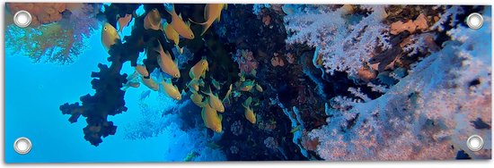 WallClassics - Tuinposter – Gele Vissen bij Koraal in de Zee - 60x20 cm Foto op Tuinposter (wanddecoratie voor buiten en binnen)