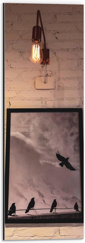 Dibond - Schilderij van Vogels aan de Witte Muur - 20x60 cm Foto op Aluminium (Wanddecoratie van metaal)
