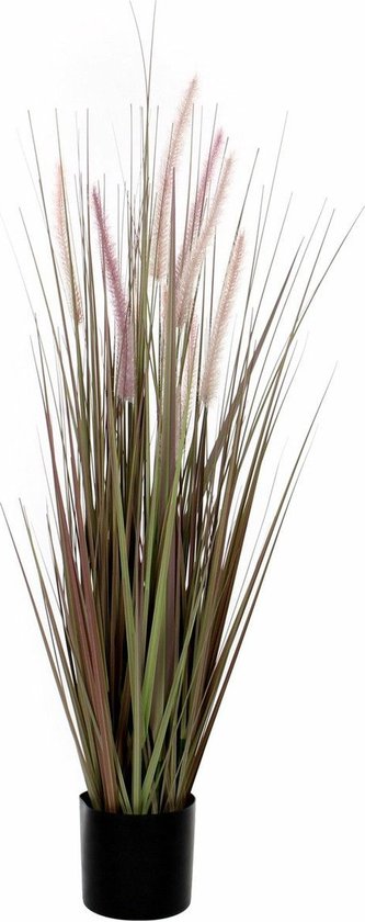Mica Decorations dogtail grass violet en pot plastique D15 taille en cm: 120