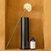Aemster - Bold zwart - Geurverspreider voor geur olie, essentiële olie en huisparfum - Koude lucht geurverspreider voor professioneel gebruik