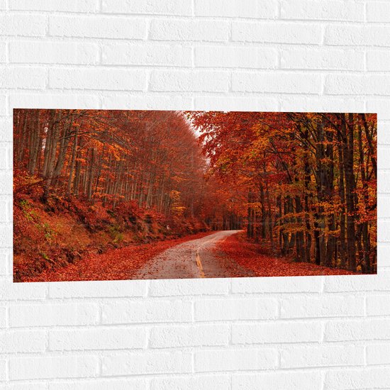 Muursticker - Weg tussen het Herstbos en Blaadjes - 100x50 cm Foto op Muursticker