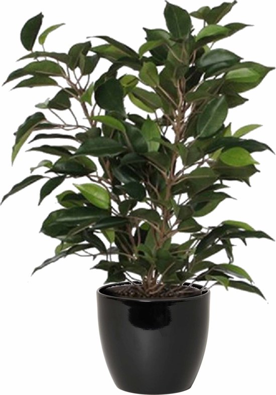 Groene ficus kunstplant 40 cm met plantenpot zwart D13.5 en H12.5 cm