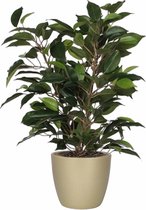 Ficus vert artificiel 40 cm avec cache-pot perle or D13,5 et H12,5 cm