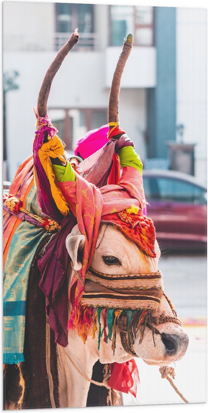 WallClassics - Drapeau - Vache avec Cornes Décorées de Tissus - Photo 50x100 cm sur Drapeau Polyester