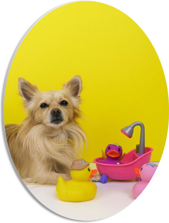WallClassics - PVC Schuimplaat Ovaal - Chihuahua met Roze Badkuip en Eendjes tegen Gele Achtergrond - 30x40 cm Foto op Ovaal (Met Ophangsysteem)
