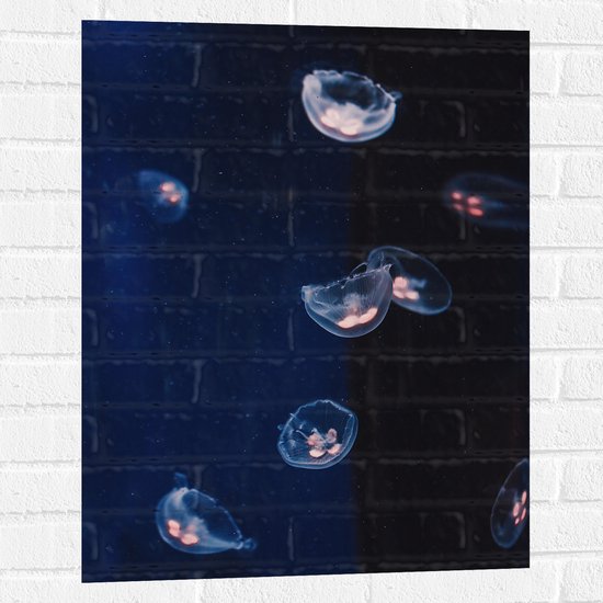WallClassics - Muursticker - Doorzichtige Kwallen op Blauwe Achtergrond - 60x80 cm Foto op Muursticker