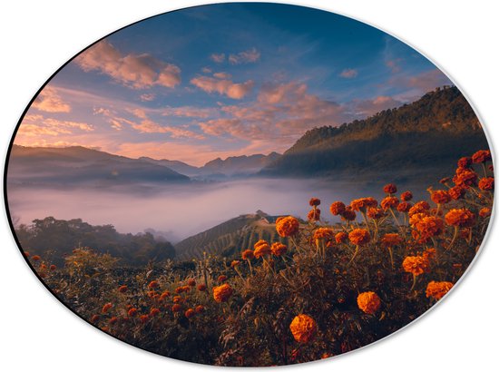 Dibond Ovaal - Oranje Bloemenveld boven Wolkendek op Bergen - 40x30 cm Foto op Ovaal (Met Ophangsysteem)