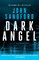 The Letty Davenport series 2 - Dark Angel