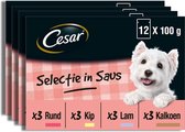 Cesar Selectie - hondenvoer - honden natvoer - Saus - Vlees en Groenten - 48 x 100g