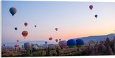 Acrylglas - Lucht Vol Hete Luchtballonnrn boven Landschap in de Avond - 100x50 cm Foto op Acrylglas (Met Ophangsysteem)