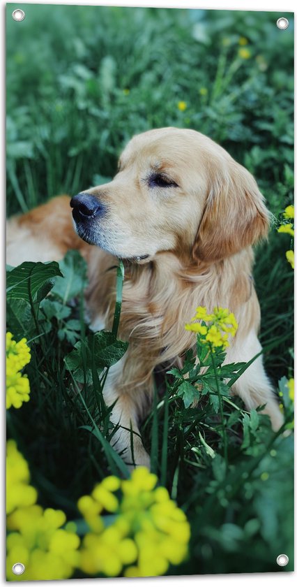 Hermann Teddy Collection knuffel Golden Retriever 25 cm Hermann Teddy Collection knuffel Golden Retriever 25 cm