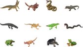 Collecta MINI - Reptielen en Amfibieën: SET met 12 mini REPTIELEN & AMFIBIEËN 11,5x15cm, in CollectA Tube 27x6x4cm, 3+