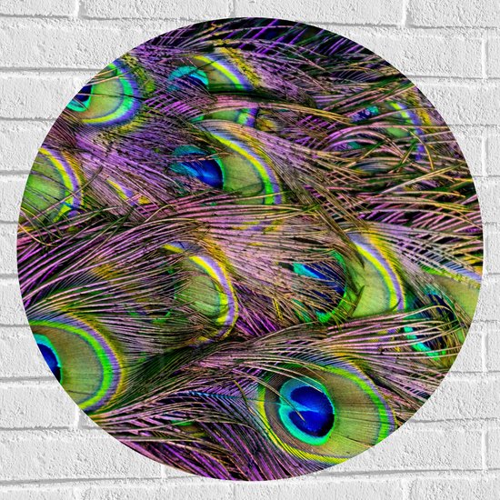 Muursticker Cirkel - Gekleurde Pauwen Veren - 70x70 cm Foto op Muursticker