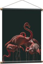 Textielposter - Groepje Flamingo's met Zwarte Achtergrond - 60x80 cm Foto op Textiel