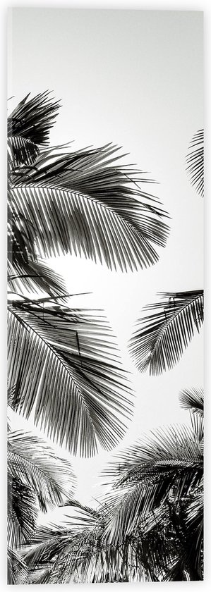 WallClassics - Acrylglas - Zwart/ Witte Palmbladeren - 20x60 cm Foto op Acrylglas (Wanddecoratie op Acrylaat)