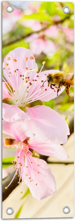 WallClassics - Tuinposter – Wesp bij Roze Bloemen - 20x60 cm Foto op Tuinposter (wanddecoratie voor buiten en binnen)