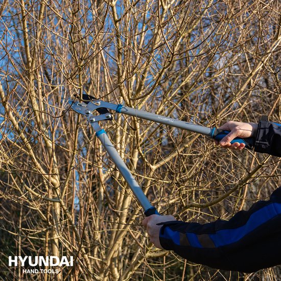 Hyundai Takkenschaar aambeeld 68cm - 58041 van HYUNDAI — afbeelding 3