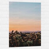 WallClassics - Muursticker - Cylindropuntia Fulgida Plantjes voor Berglandschap met Oranje Lucht - 70x105 cm Foto op Muursticker