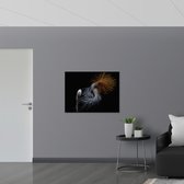 WallClassics - Poster Glanzend – Grijze Kroonkraanvogel op Zwarte Achtergrond - 100x75 cm Foto op Posterpapier met Glanzende Afwerking