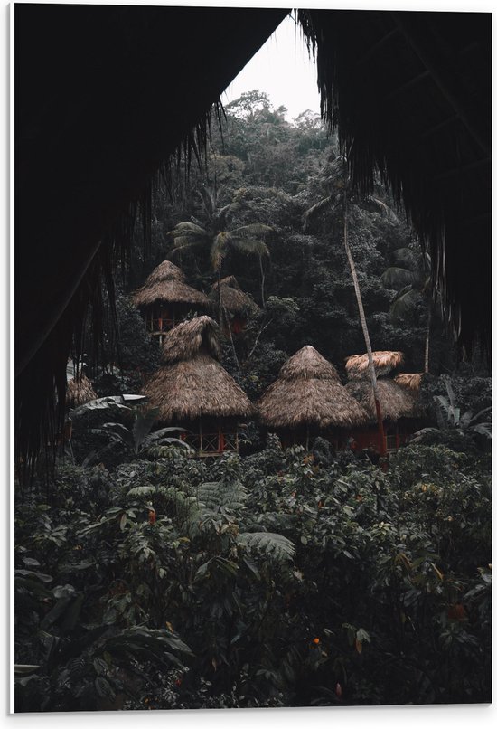 WallClassics - Plaque de Mousse PVC - Petites Huttes de Chaume dans une Forêt Dense - Photo 40x60 cm sur Plaque de Mousse PVC