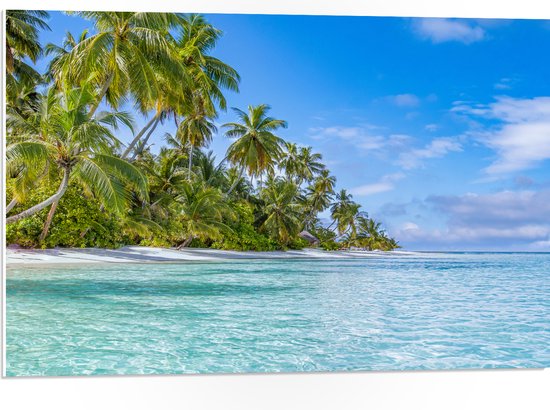 PVC Schuimplaat - Tropisch Strand met Palmbomen - 75x50 cm Foto op PVC Schuimplaat (Met Ophangsysteem)