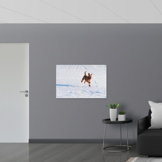 WallClassics - Drapeau - Chien marron courant dans la neige - 105x70 cm Photo sur drapeau polyester