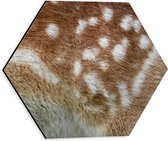 WallClassics - Dibond Hexagone - Manteau marron à taches Witte de cerf - 30x26,1 cm Photo sur Hexagone (avec système d'accrochage)