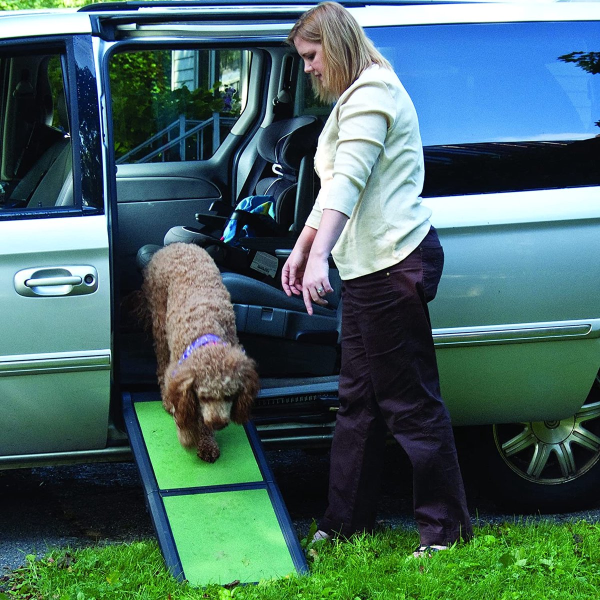 Hondentrap - trap voor honden - huisdier trap