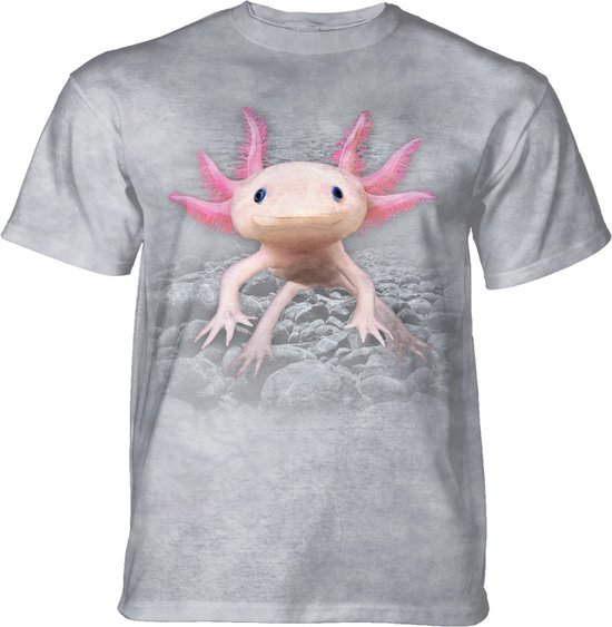 T-shirt Axolotl KIDS KIDS M