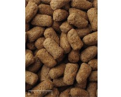 NutraZu© Mazuri Vezelbrok landschildpad - 1000ml - 320 gram