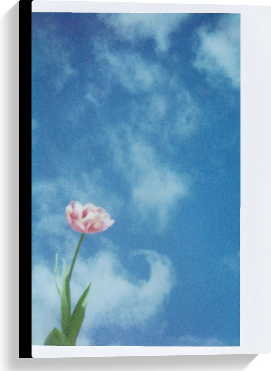 Canvas - Polaroid van Roze Bloem onder Sluierbewolking - 40x60 cm Foto op Canvas Schilderij (Wanddecoratie op Canvas)