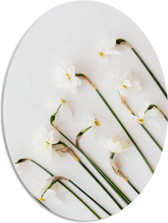 PVC Schuimplaat Ovaal - Schuin Groeiende Witte Bloemen - 51x68 cm Foto op Ovaal (Met Ophangsysteem)